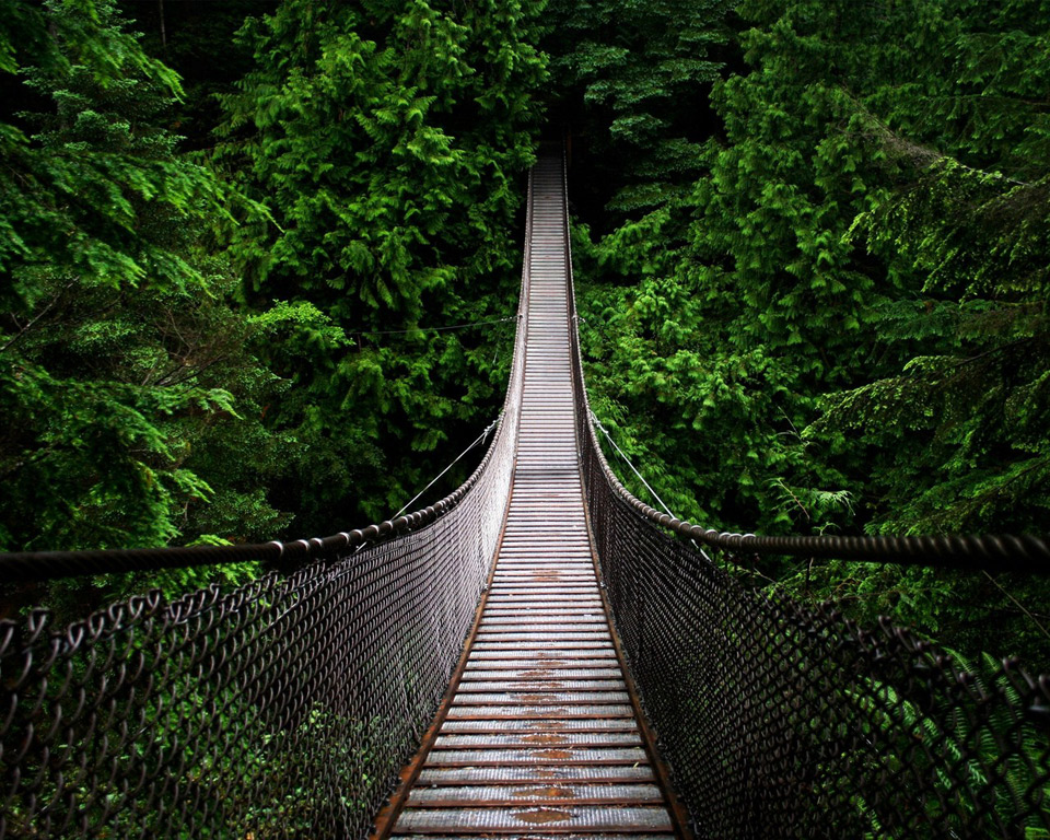 Bridge inspiring a new path